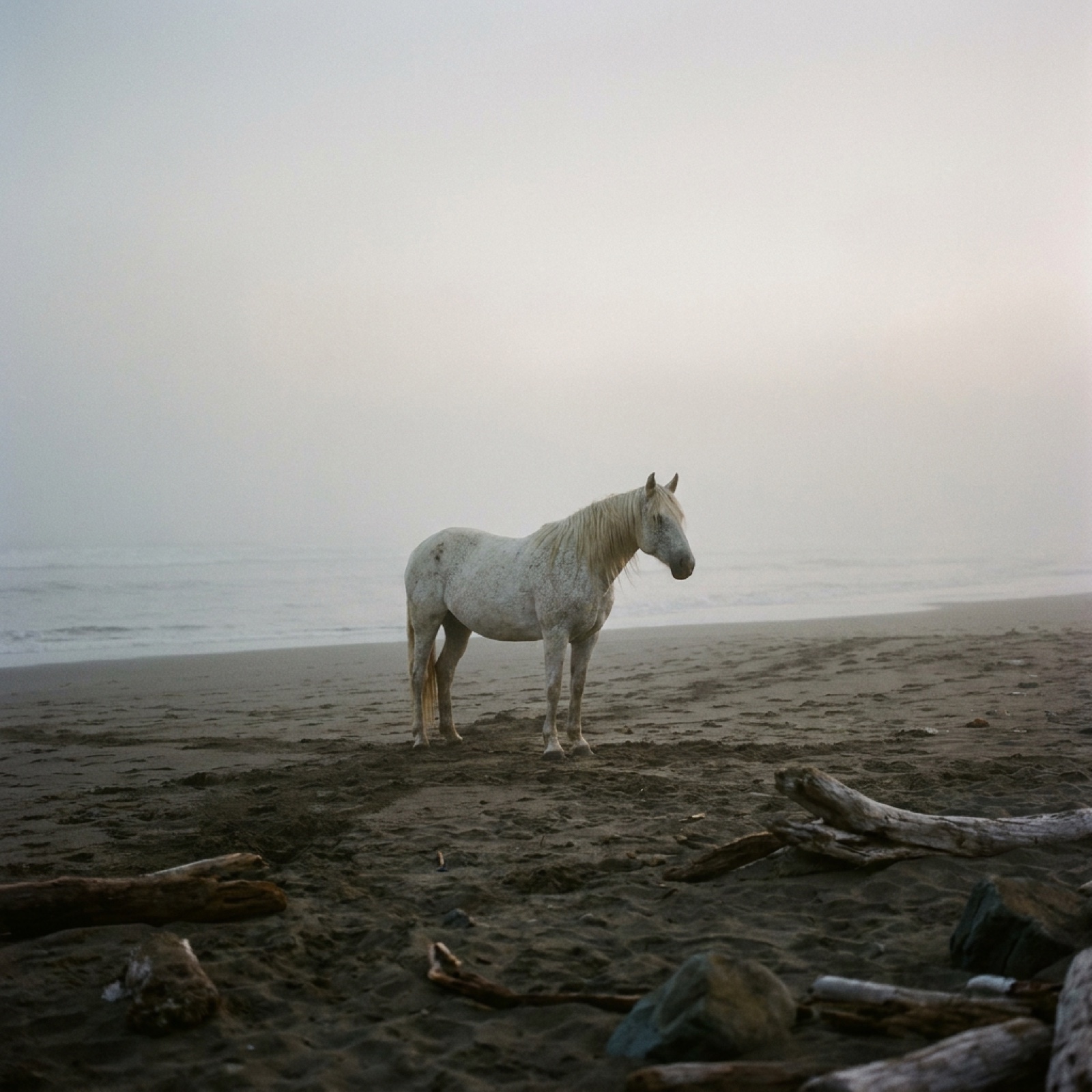 Static field — editorial photograph five