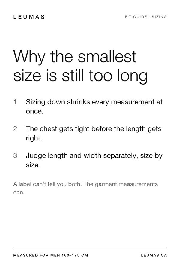 Leumas Pinterest pin about the smallest size still being too long